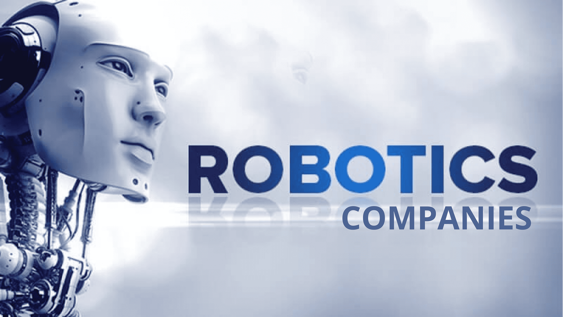 Best Robotics Application Companies